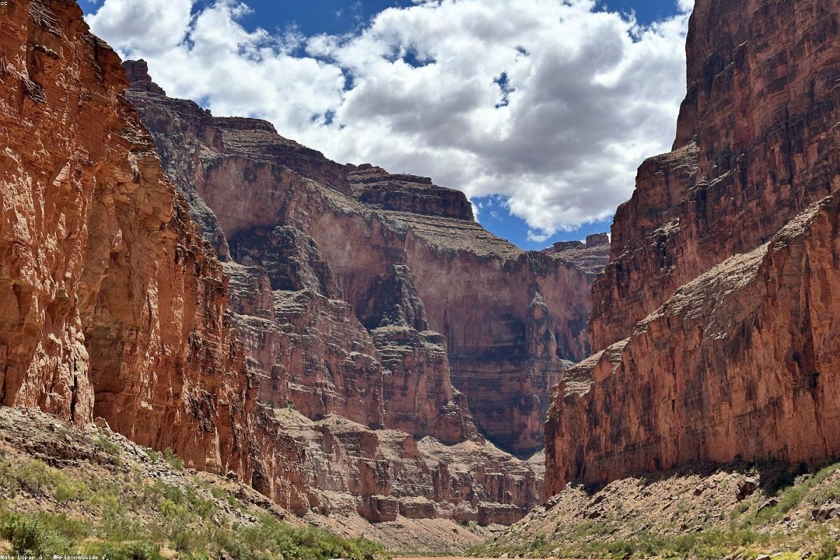 Rizières verdoyantes et temple au lever du soleil en Asie